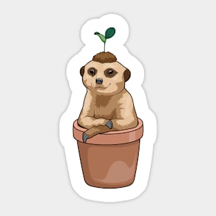 Meerkat Flower pot Plant Sticker